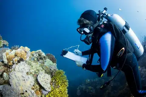 environmental scientists